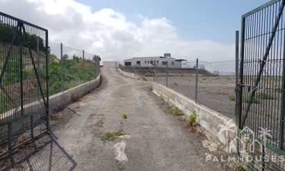 Revente - Finca - Los Montesinos