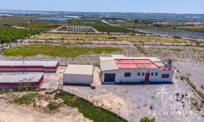 Revente - Finca - Los Montesinos