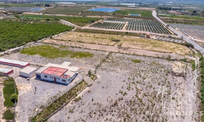 Revente - Finca - Los Montesinos