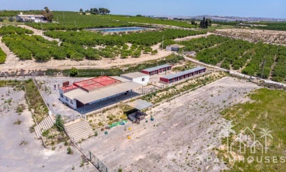 Revente - Finca - Los Montesinos