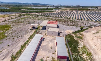 Revente - Finca - Los Montesinos