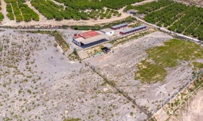 Revente - Finca - Los Montesinos