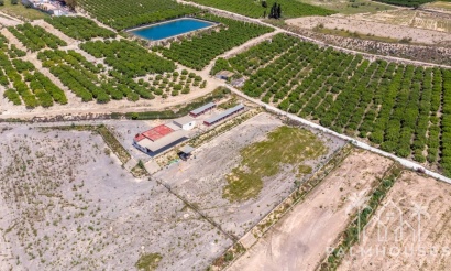 Revente - Finca - Los Montesinos