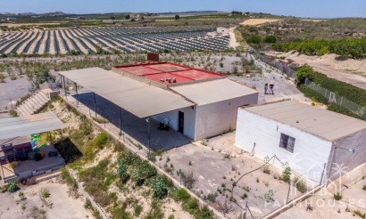 Revente - Finca - Los Montesinos
