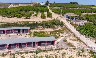 Revente - Finca - Los Montesinos