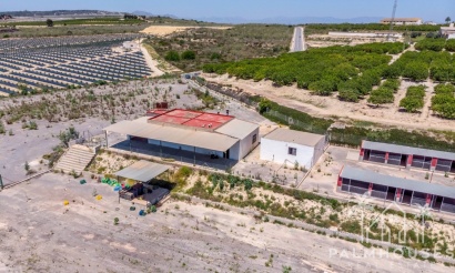 Revente - Finca - Los Montesinos