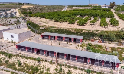Revente - Finca - Los Montesinos