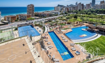 Venta - Apartment - Benidorm - Playa de Poniente