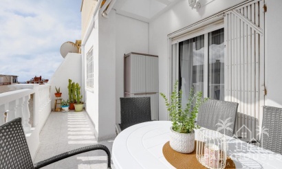 Revente - Apartment - Torrevieja - Estacion de autobuses