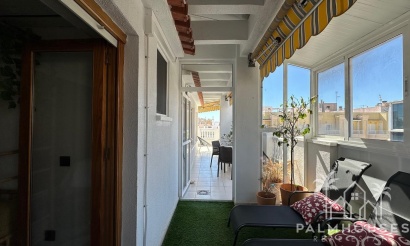 Herverkoop - Appartement - Torrevieja - Center