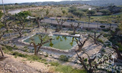 Revente - Villa - Abanilla - Inland