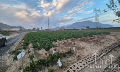 Herverkoop - Finca - Orihuela - Casco Histórico