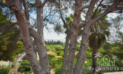 Revente - Villa - Torrevieja - Los Balcones