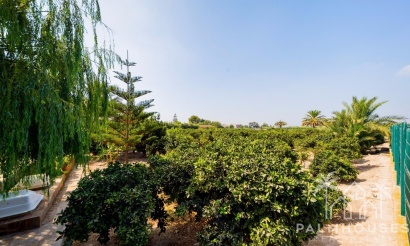 Herverkoop - Finca - Almoradi - Camino De Catral