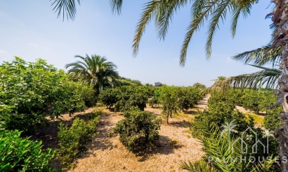 Herverkoop - Finca - Almoradi - Camino De Catral