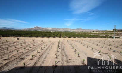 Revente - Finca - Murcia - Inland