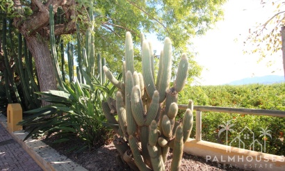 Revente - Finca - Murcia - Inland