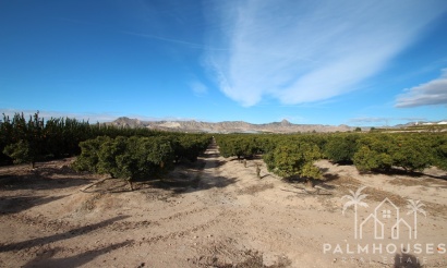 Revente - Finca - Murcia - Inland