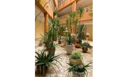 Herverkoop - Appartement - San Miguel de Salinas - Pueblo 9