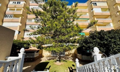 Herverkoop - Appartement - La Mata - Costa Blanca