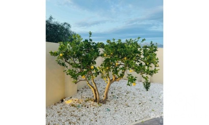 Revente - Villa - Alfaz del Pi - Costa Blanca