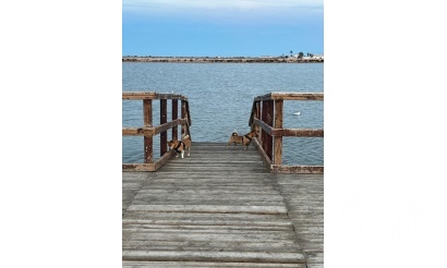 Revente - Maison - San Pedro del Pinatar - Costa Calida