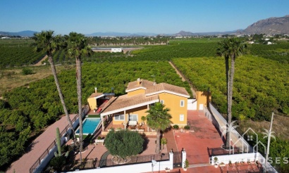 Revente - Villa - Orihuela - Orihuela Ciudad