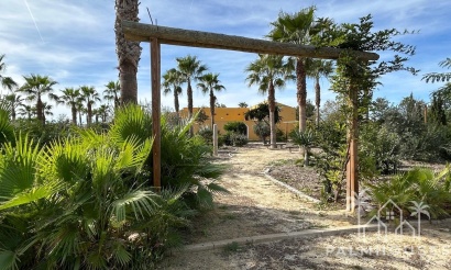 Venta - Casa - Dolores - Costa Blanca