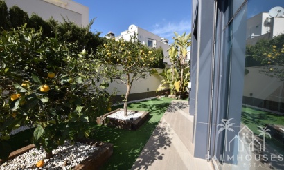 Revente - Villa - San Miguel de Salinas - Inland