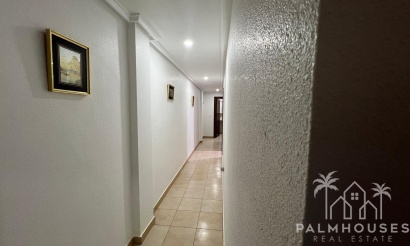 Revente - Apartment - Torrevieja - Playa del cura