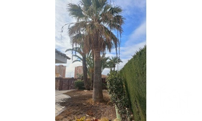 Revente - Villa - Orihuela Costa - Campoamor