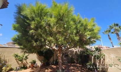 Revente - Villa - Torrevieja - Torre Del Moro