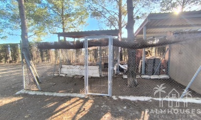 Venta - Villa - Yecla - Inland