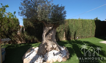 Herverkoop - Villa - Ciudad Quesada - Costa Blanca