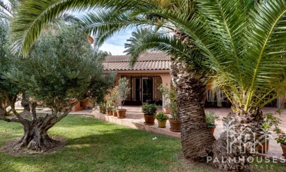 Venta - Villa - Torrevieja - San Luis