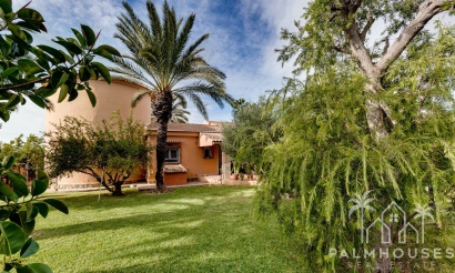 Venta - Villa - Torrevieja - San Luis