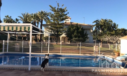 Herverkoop - Villa - Orihuela Costa - Cabo Roig
