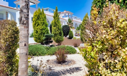 Revente - Apartment - Ciudad Quesada - Doña Pepa