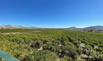 Venta - Villa - Murcia - Inland