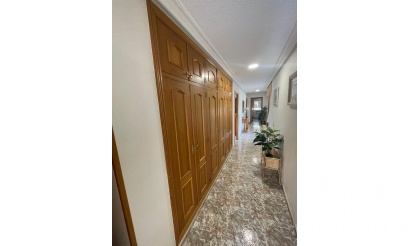 Herverkoop - Appartement - Torrevieja - Center