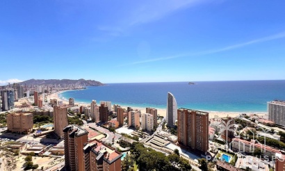 Revente - Apartment - Benidorm - Poniente