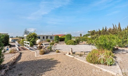Herverkoop - Finca - Los Montesinos - Costa Blanca