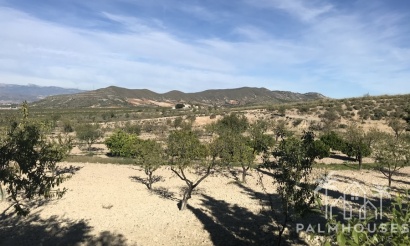Herverkoop - Finca - Lorca - Costa Calida