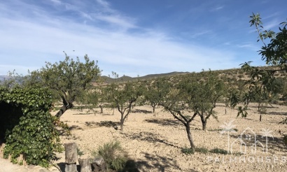 Herverkoop - Finca - Lorca - Costa Calida