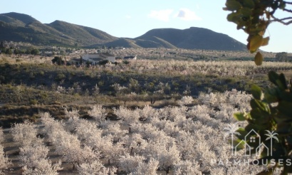 Herverkoop - Finca - Lorca - Costa Calida