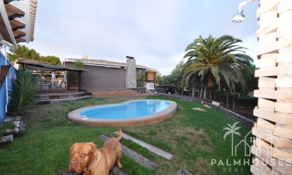 Revente - Villa - Monóvar/Monóver - Inland