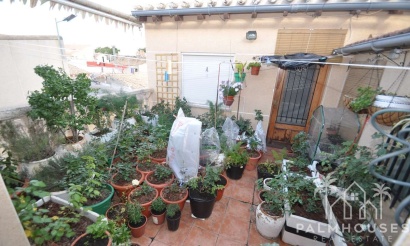 Revente - Maison - Pinoso - Inland