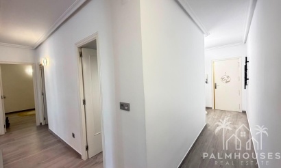 Venta - Apartment - Torrevieja - Centro - Muelle Pesquero