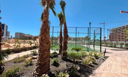 Revente - Apartment - Torrevieja - Punta Prima