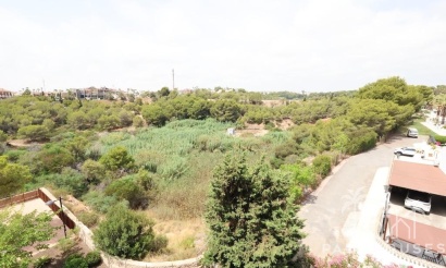 Revente - Apartment - Orihuela Costa - Costa Blanca